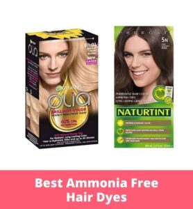 10 Best Ammonia Free Hair Dyes To Buy In 2024 | The Apex Beauty